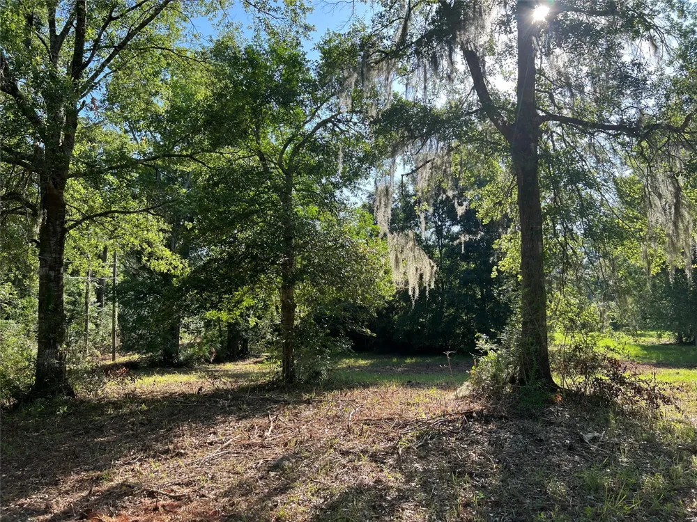 Cravens Camp Rd Road Silsbee, TX 77656