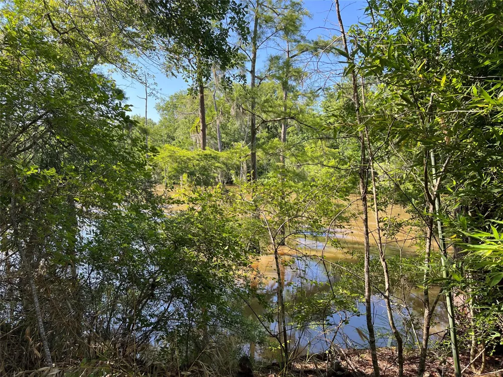 Cravens Camp Rd Road Silsbee, TX 77656