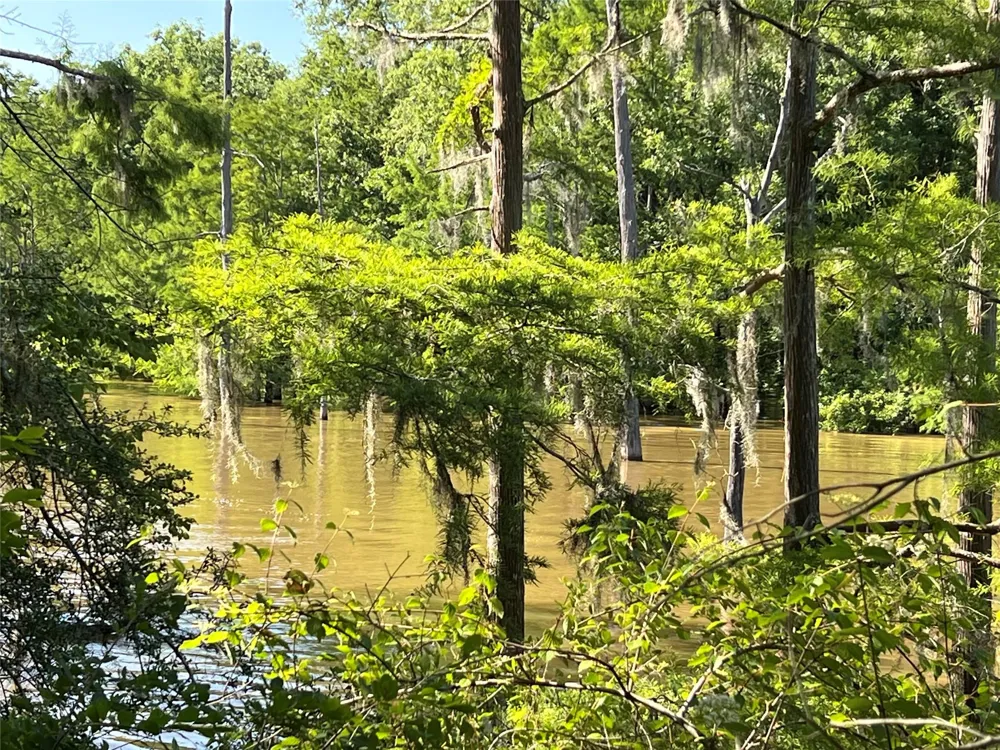 Cravens Camp Rd Road Silsbee, TX 77656
