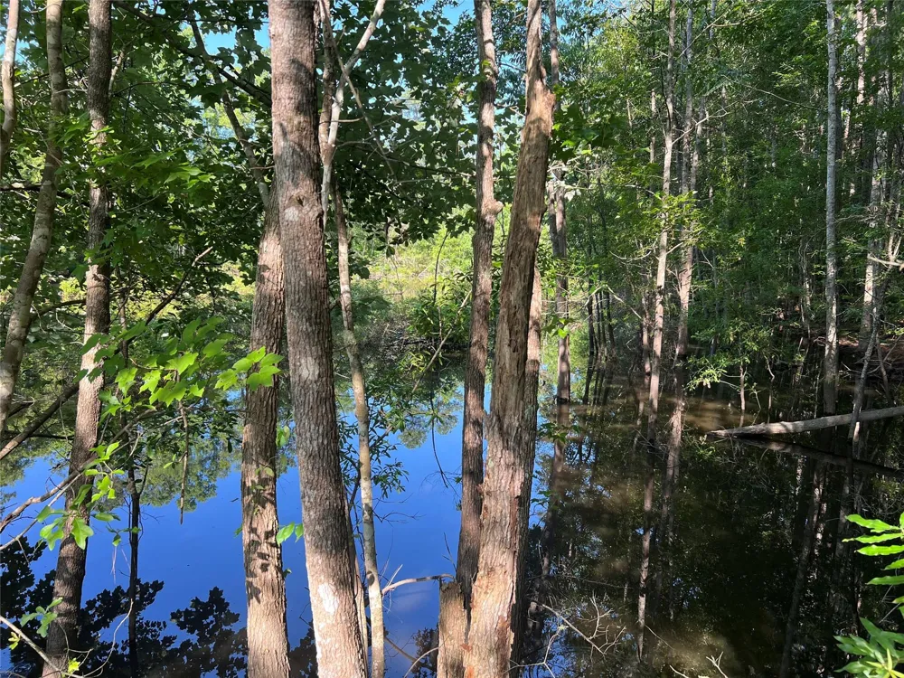 Cravens Camp Rd Road Silsbee, TX 77656