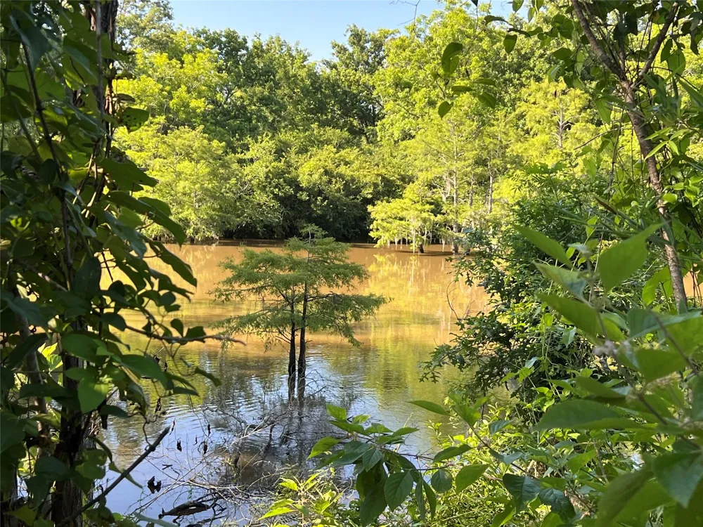 Cravens Camp Rd Road Silsbee, TX 77656