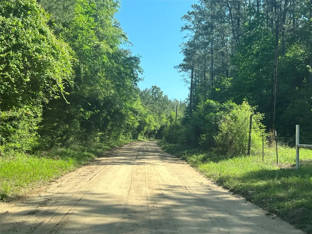 Cravens Camp Rd Road Silsbee, TX 77656