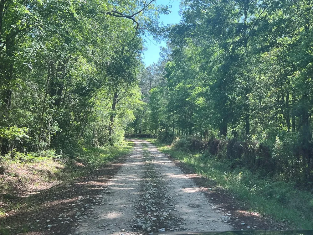 Cravens Camp Rd Road Silsbee, TX 77656