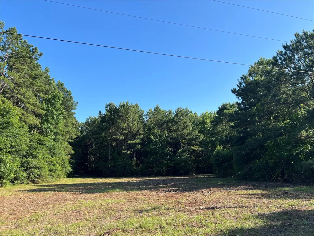 Cravens Camp Rd Road Silsbee, TX 77656
