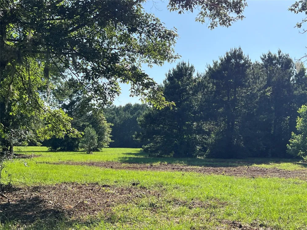 Cravens Camp Rd Road Silsbee, TX 77656
