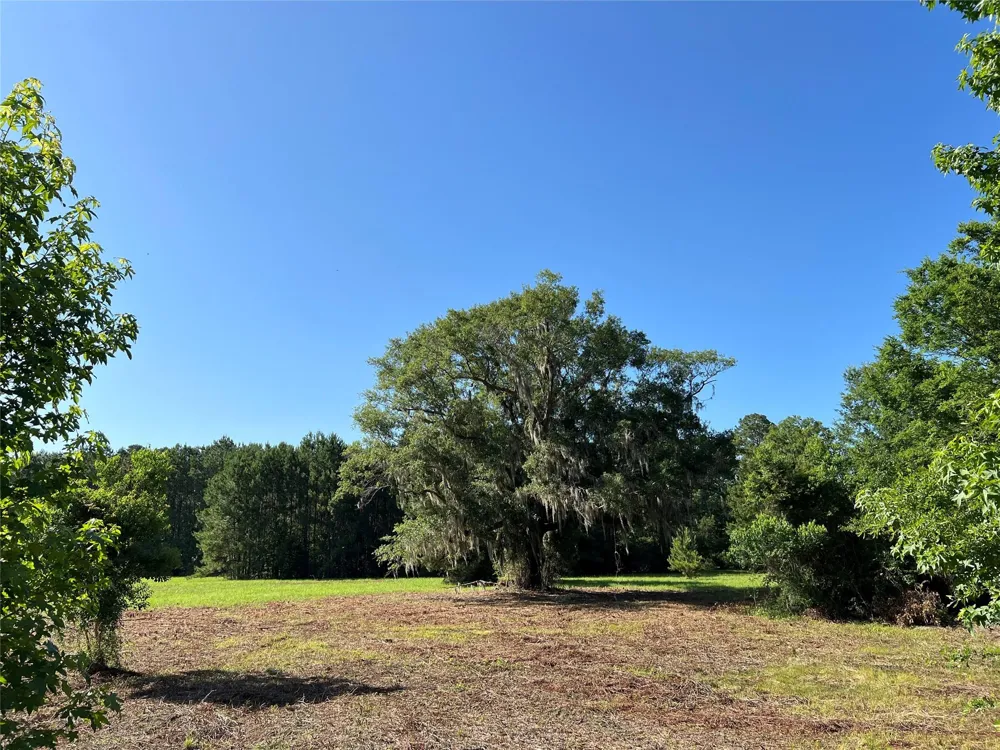 Cravens Camp Rd Road Silsbee, TX 77656