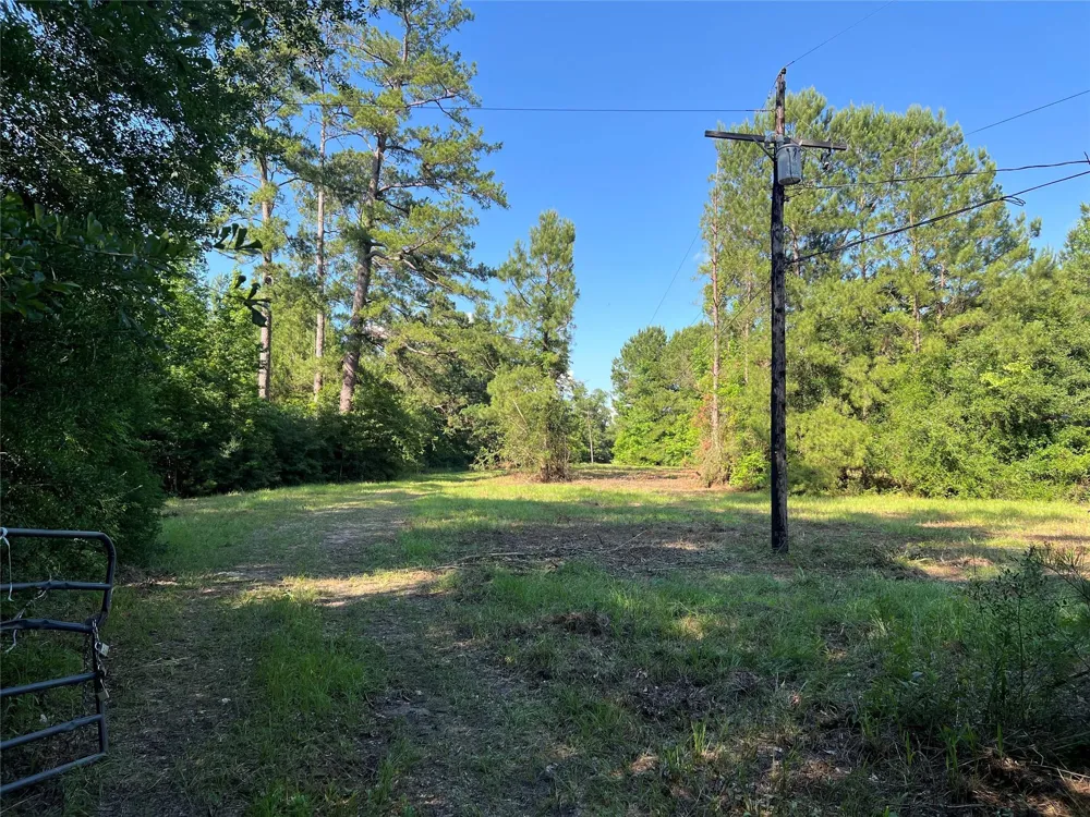 Cravens Camp Rd Road Silsbee, TX 77656