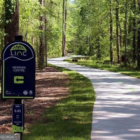 12 Silver LN Newnan, GA 30265