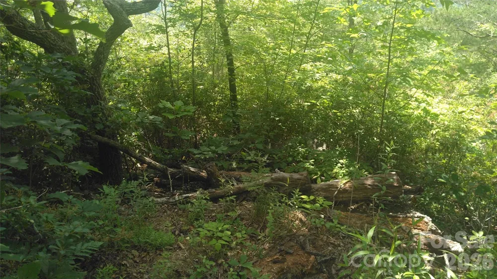 Lot 2F Seminole Path Marion, NC 28752