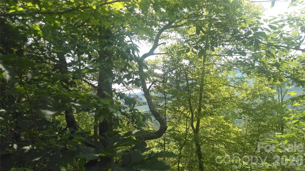 Lot 2F Seminole Path Marion, NC 28752