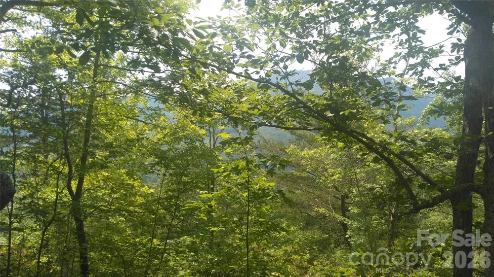 Lot 2F Seminole Path Marion, NC 28752