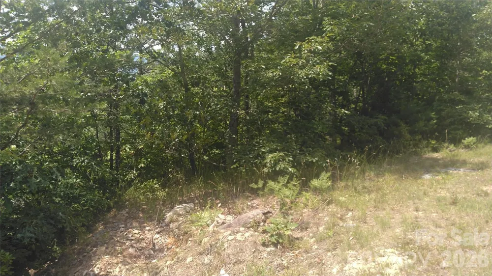 Lot 2F Seminole Path Marion, NC 28752