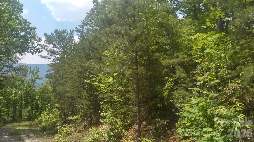 Lot 2F Seminole Path Marion, NC 28752