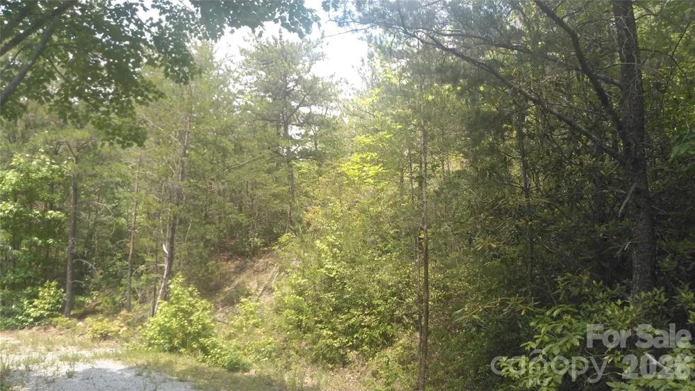 Lot 2F Seminole Path Marion, NC 28752