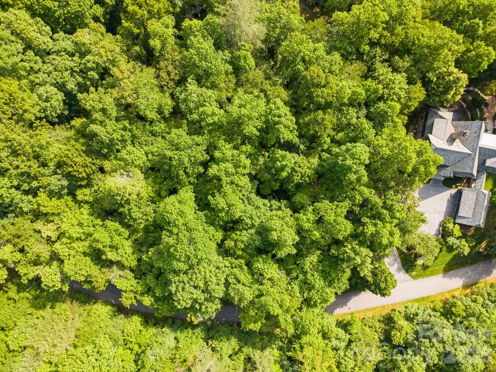 TBD Allison Creek Trail #A5 Brevard, NC 28712