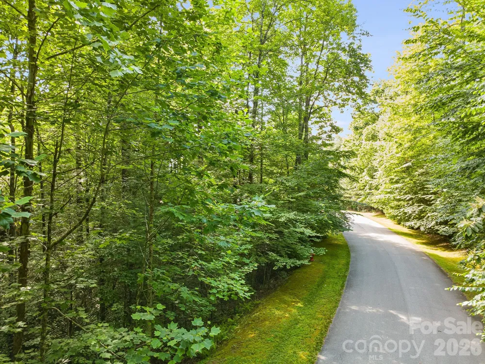 TBD Allison Creek Trail #A5 Brevard, NC 28712