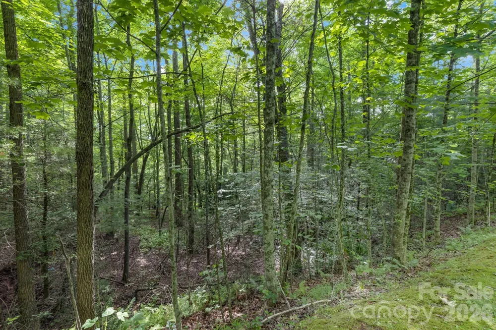 TBD Allison Creek Trail #A5 Brevard, NC 28712