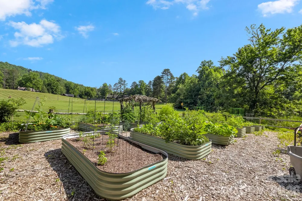 TBD Allison Creek Trail #A5 Brevard, NC 28712