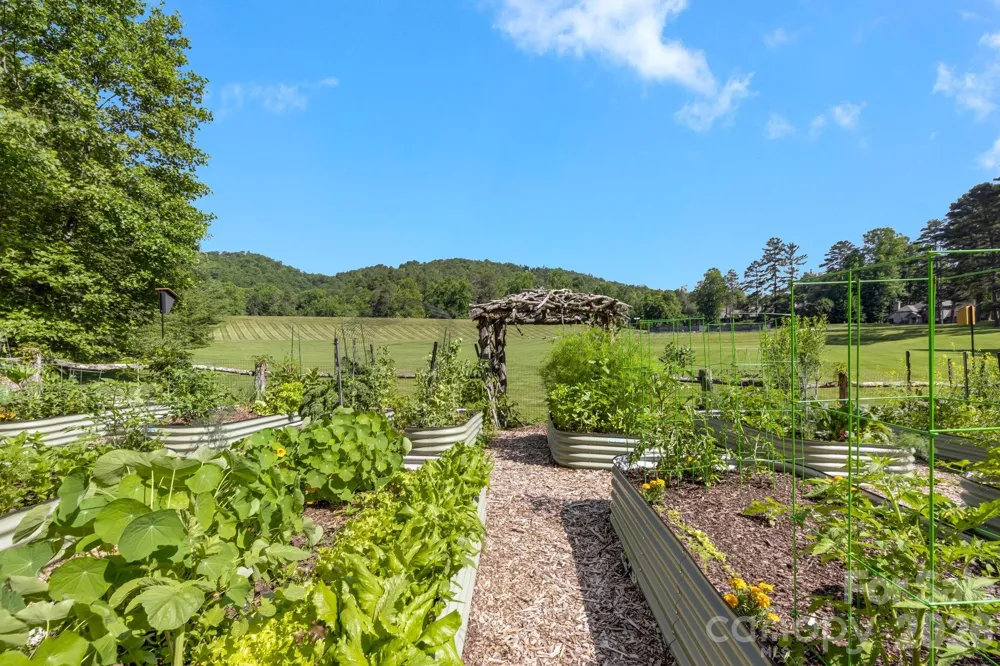 TBD Allison Creek Trail #A5 Brevard, NC 28712