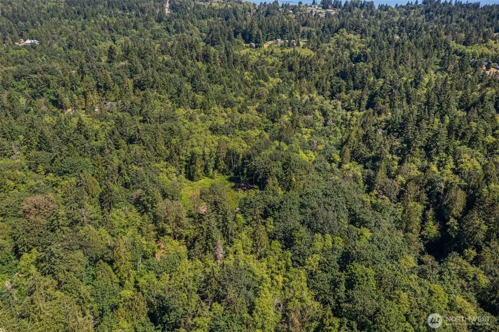 4635 Forest View Lane SE Port Orchard, WA 98366