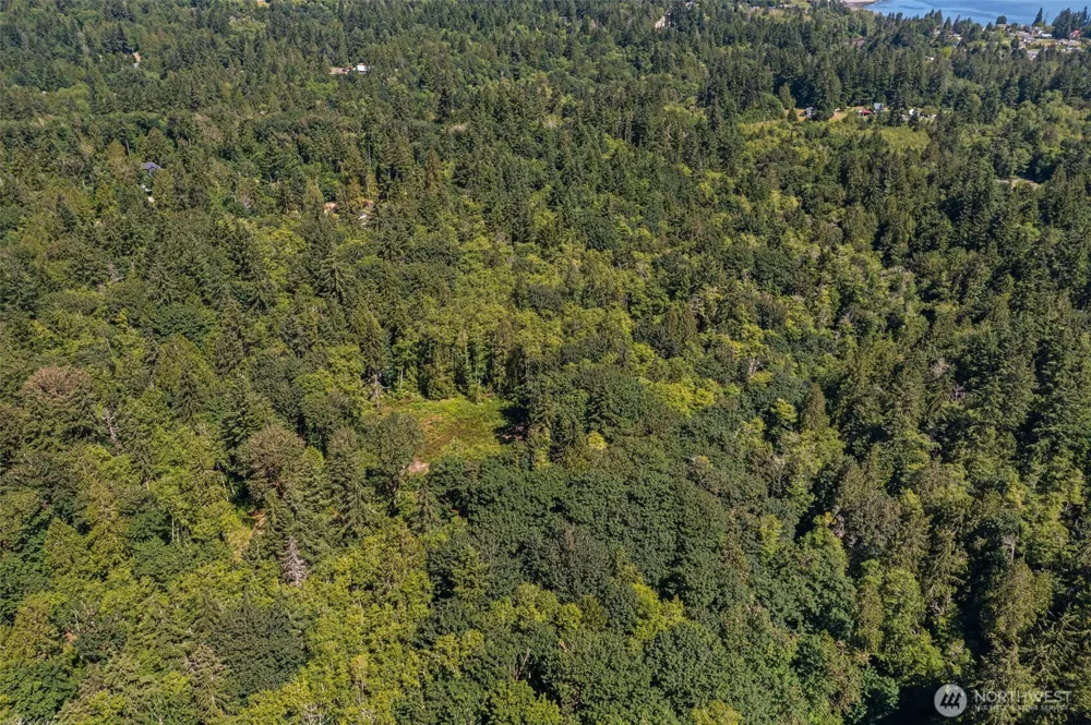 4635 Forest View Lane SE Port Orchard, WA 98366