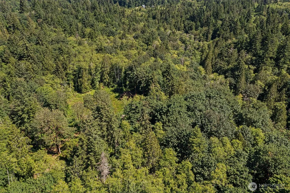4635 Forest View Lane SE Port Orchard, WA 98366