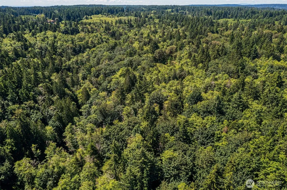 4635 Forest View Lane SE Port Orchard, WA 98366