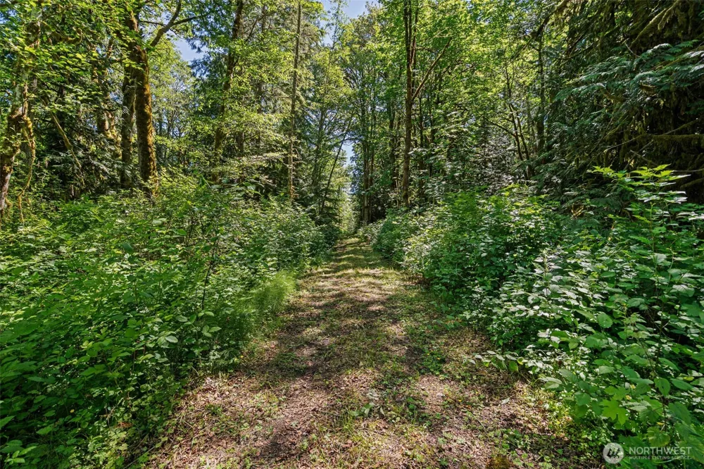 4635 Forest View Lane SE Port Orchard, WA 98366