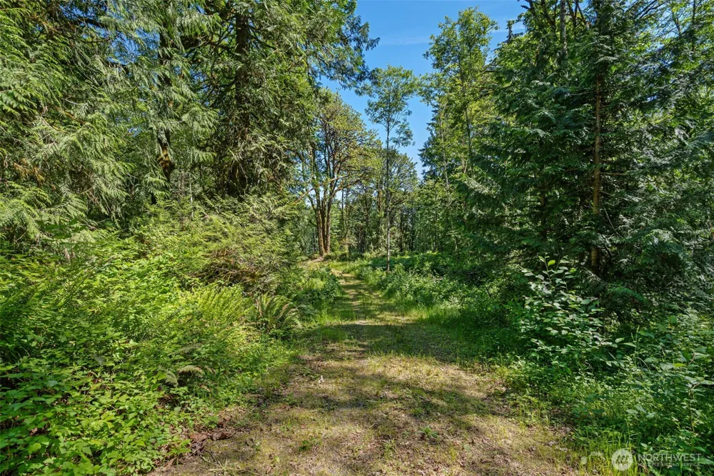 4635 Forest View Lane SE Port Orchard, WA 98366