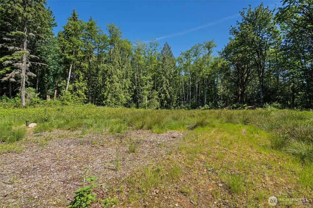 4635 Forest View Lane SE Port Orchard, WA 98366