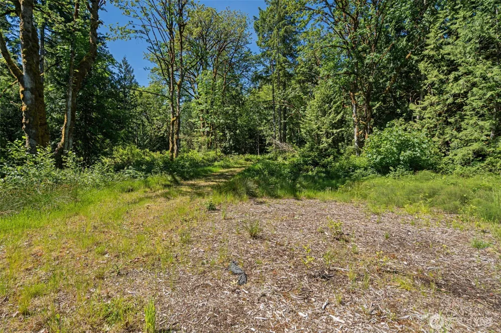 4635 Forest View Lane SE Port Orchard, WA 98366