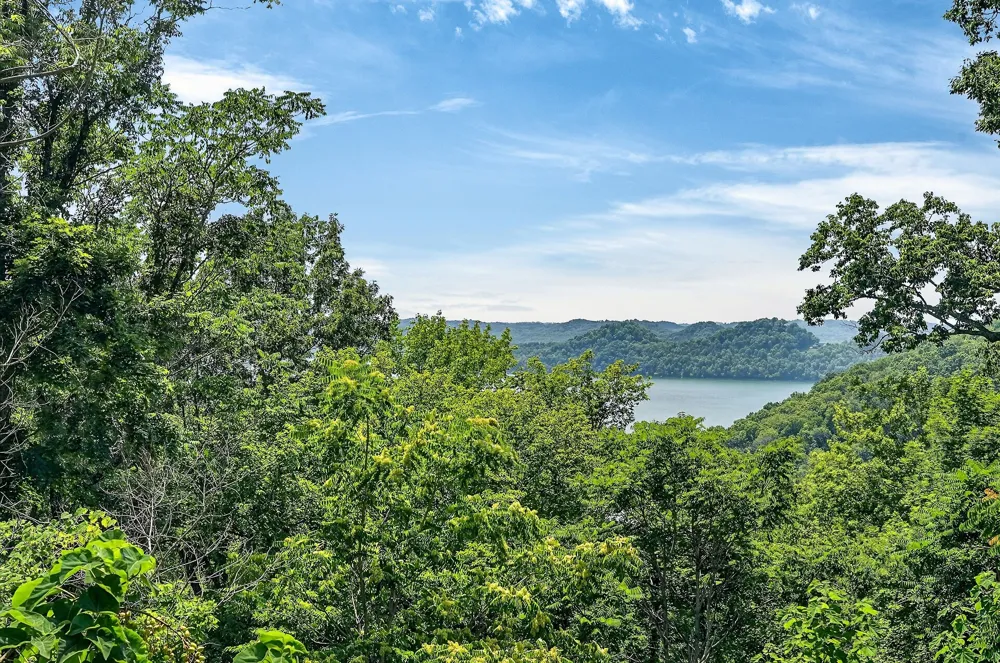 241 Nautilus Pt Silver Point, TN 38582