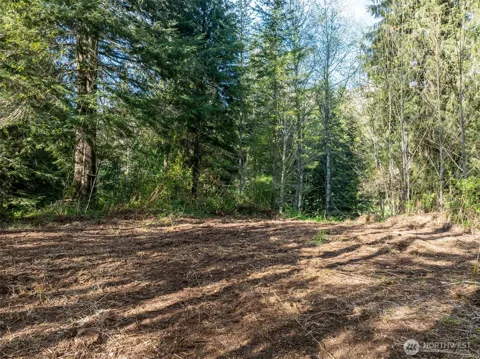 0 Davis Lake Road
