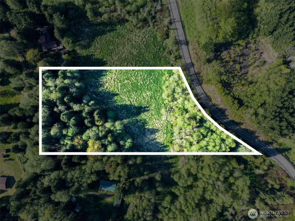 0 Davis Lake Road Morton, WA 98356