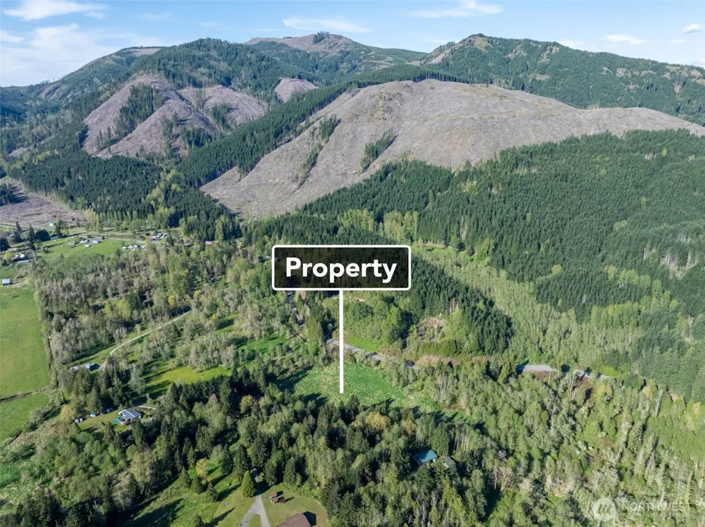 0 Davis Lake Road Morton, WA 98356