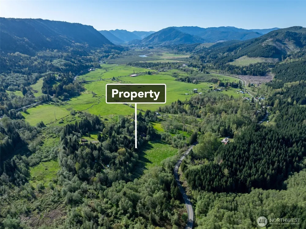 0 Davis Lake Road Morton, WA 98356