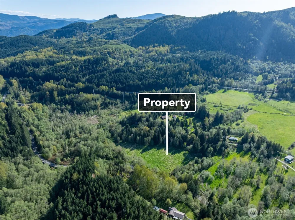 0 Davis Lake Road Morton, WA 98356