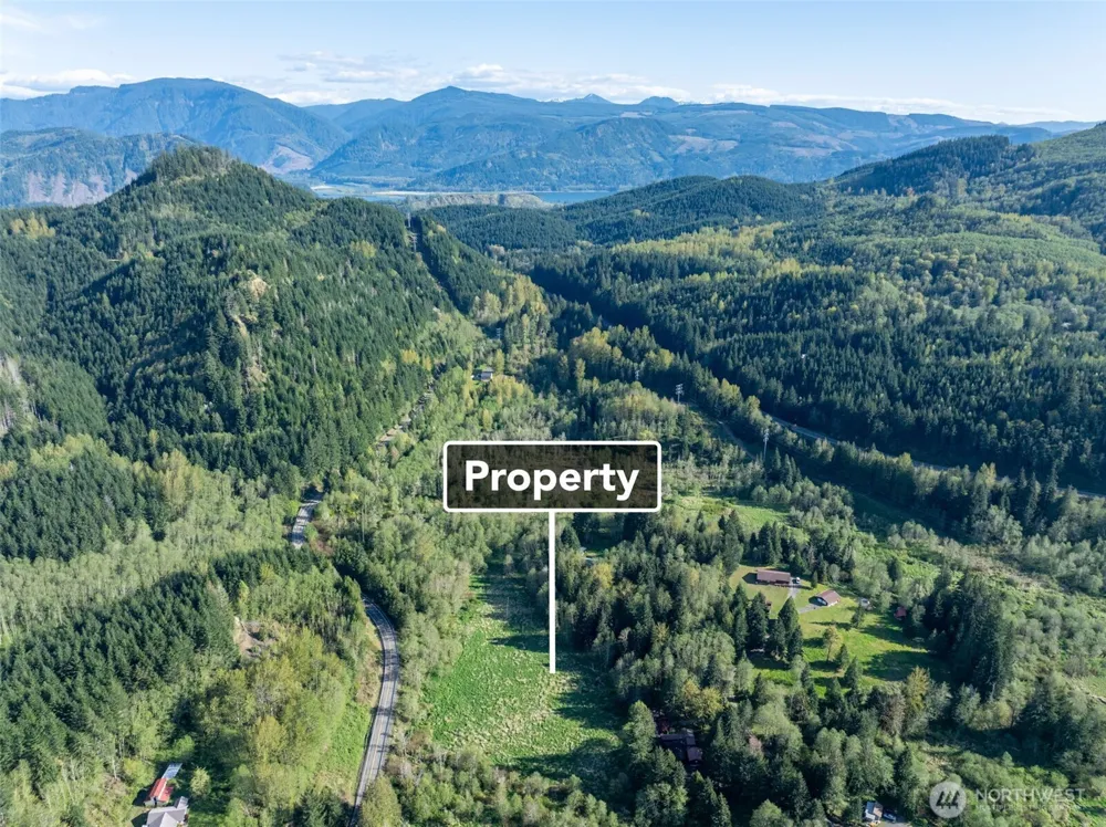 0 Davis Lake Road Morton, WA 98356