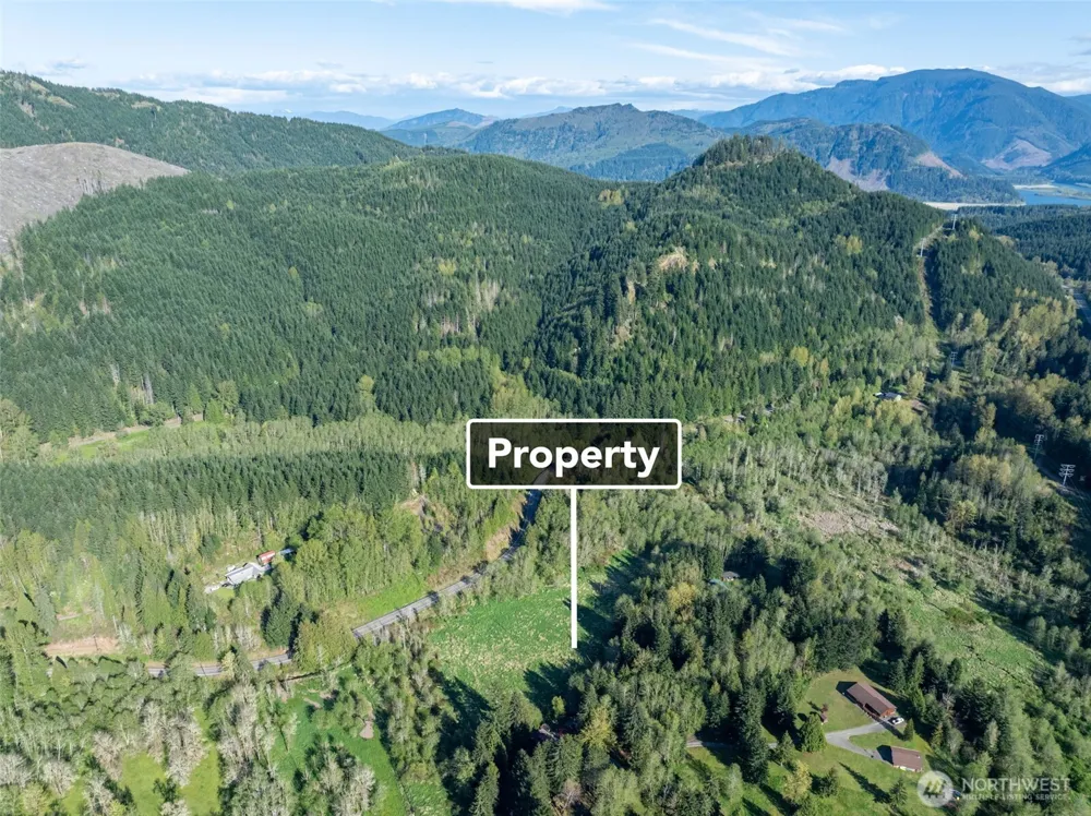 0 Davis Lake Road Morton, WA 98356