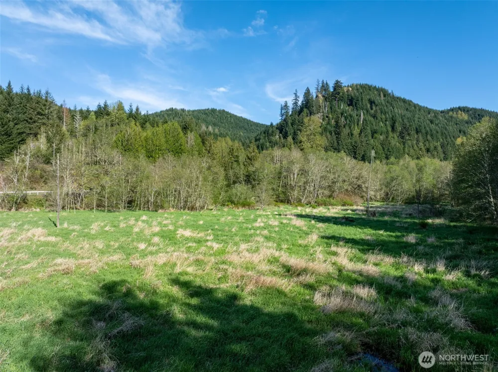 0 Davis Lake Road Morton, WA 98356