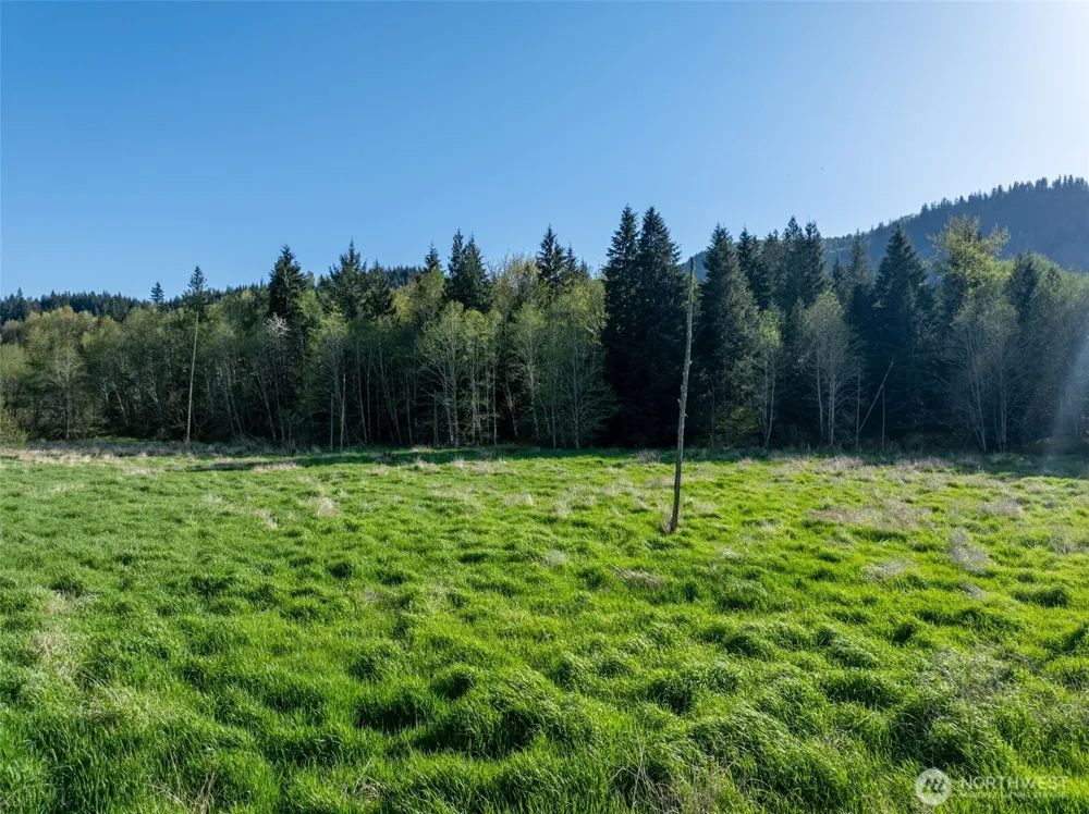 0 Davis Lake Road Morton, WA 98356