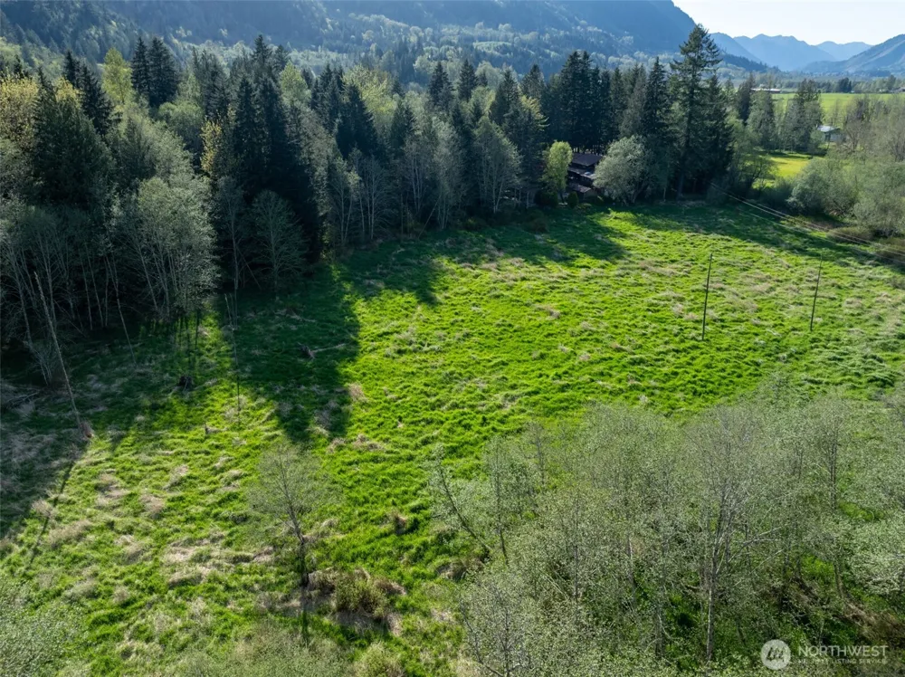 0 Davis Lake Road Morton, WA 98356