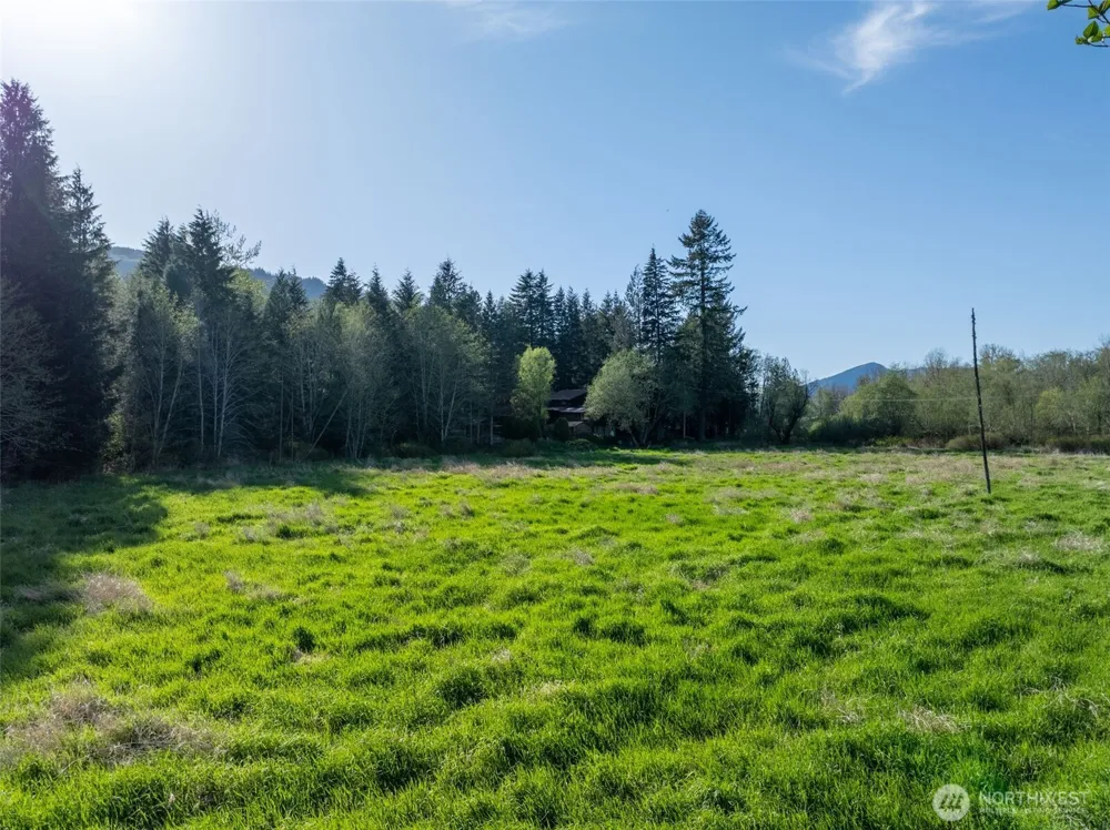 0 Davis Lake Road Morton, WA 98356