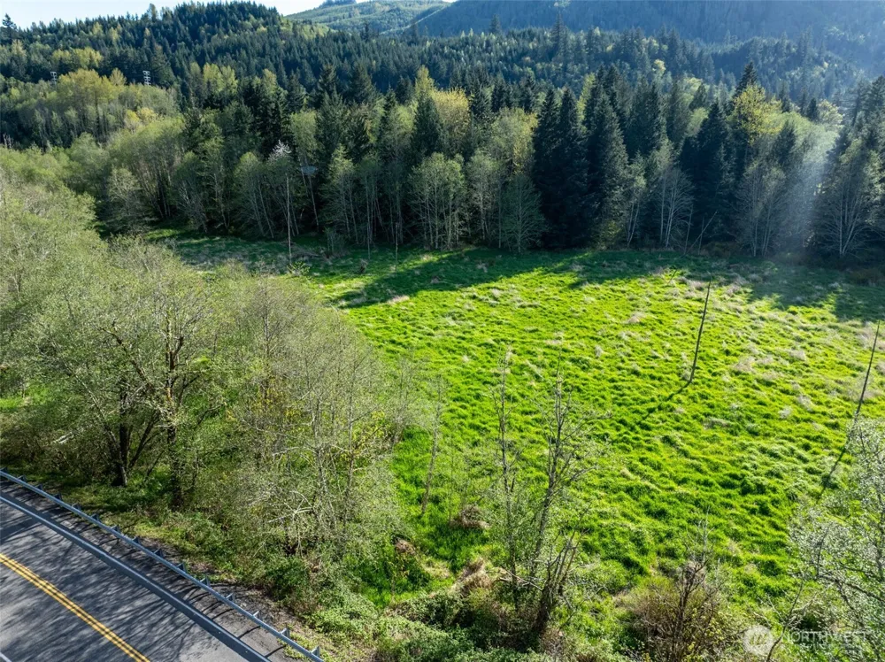 0 Davis Lake Road Morton, WA 98356