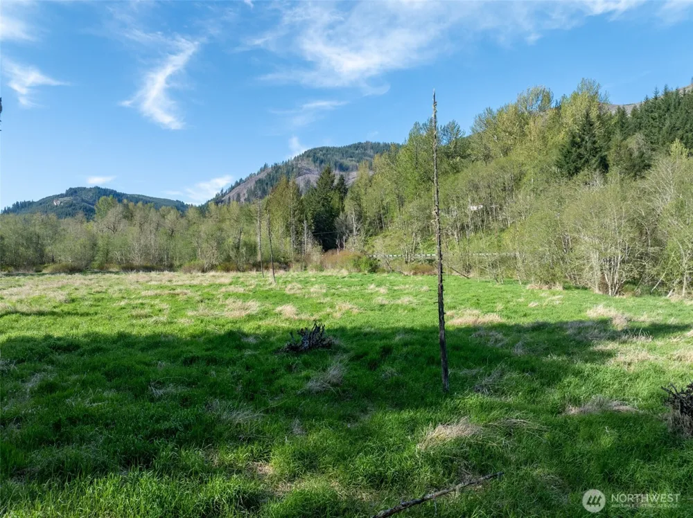 0 Davis Lake Road Morton, WA 98356