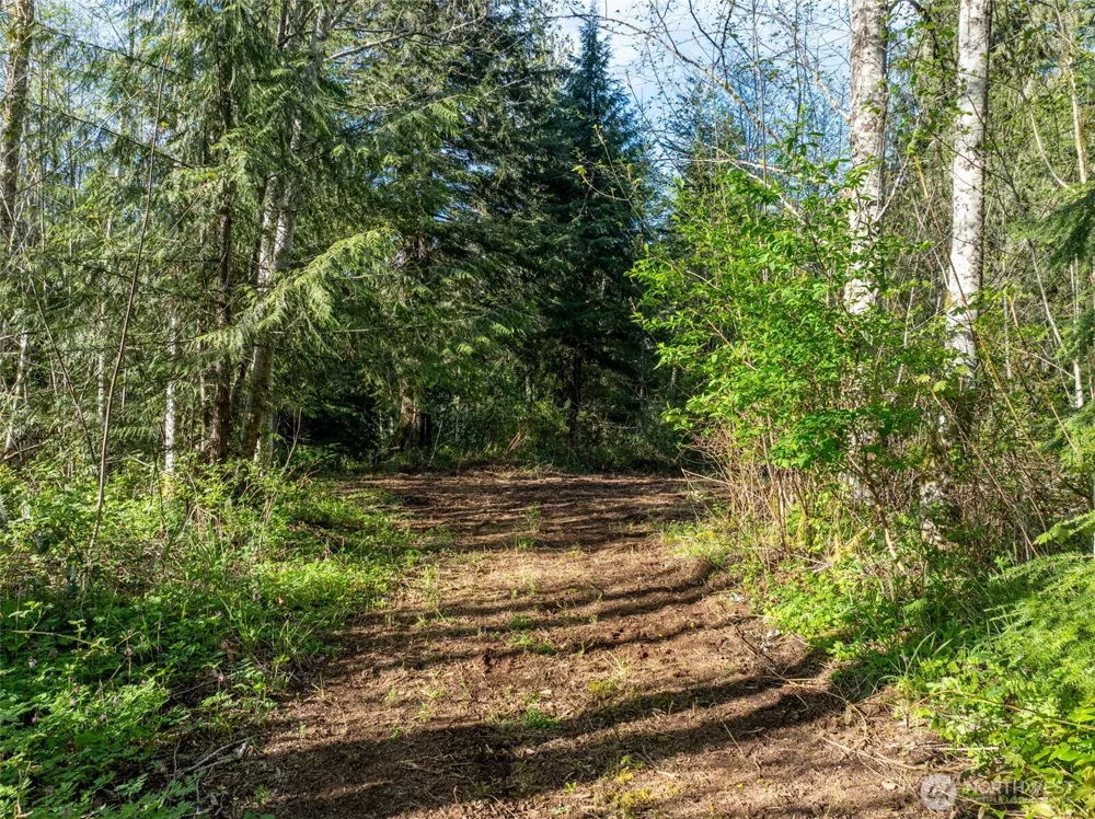 0 Davis Lake Road Morton, WA 98356
