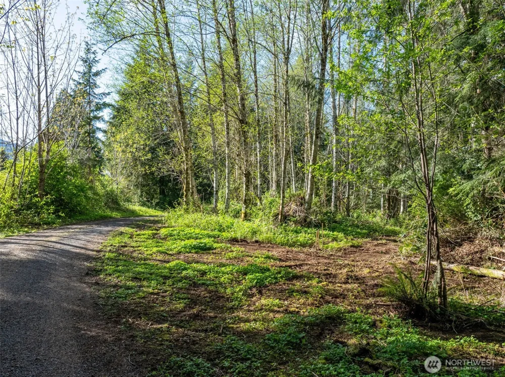 0 Davis Lake Road Morton, WA 98356