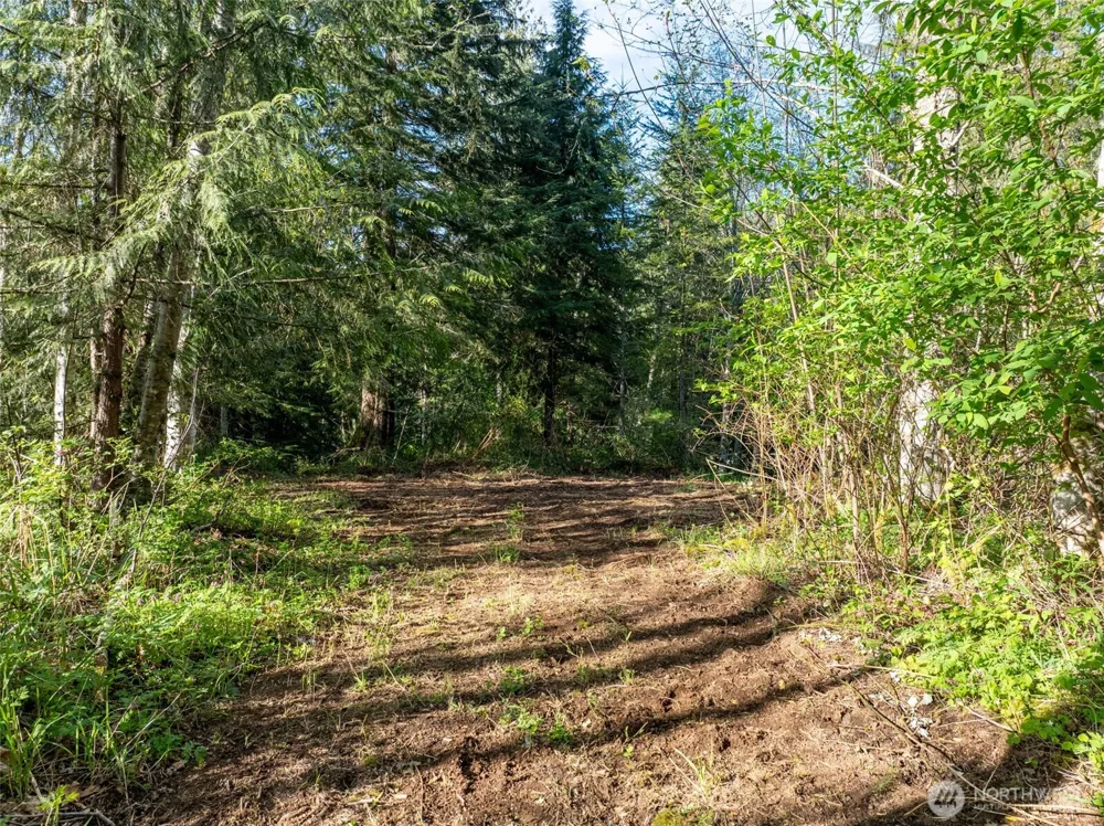 0 Davis Lake Road Morton, WA 98356