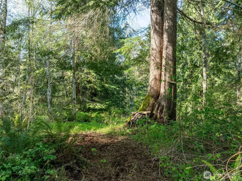 0 Davis Lake Road Morton, WA 98356
