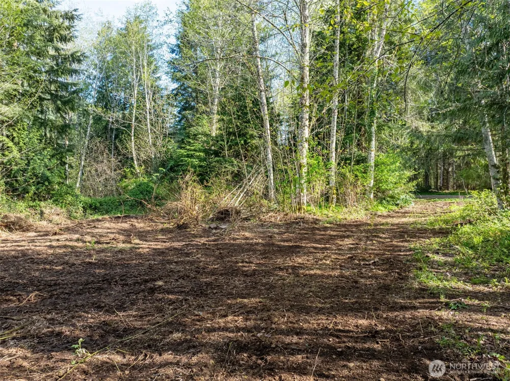 0 Davis Lake Road Morton, WA 98356